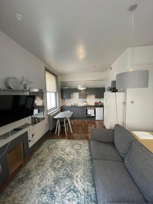 Apartment 1 Comfortable Studio Brighton